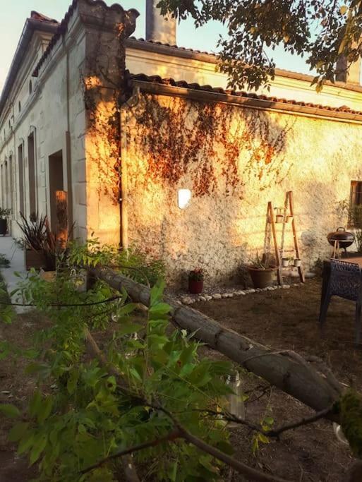 Gite A La Ferme Chaleureux Apartamento Civrac-de-Blaye Exterior foto